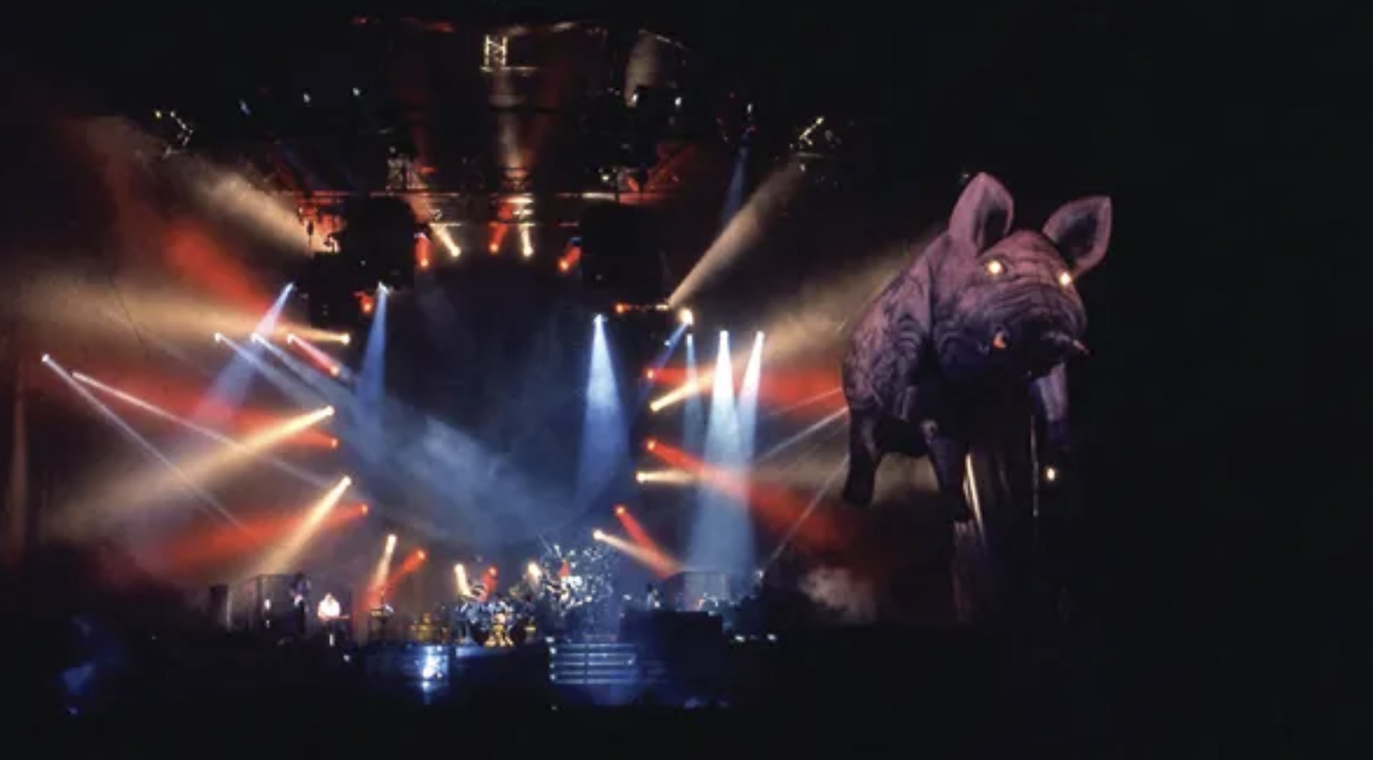 Pig with a laser light show